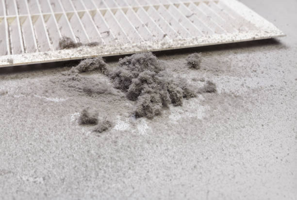 Best Commercial Air Duct Cleaning  in Bevil Oaks, TX