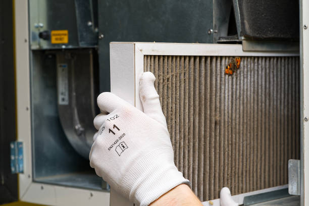 Air Quality Test in Bevil Oaks, TX
