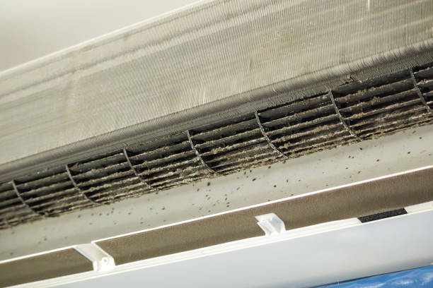 Best Ventilation Cleaning Services  in Bevil Oaks, TX